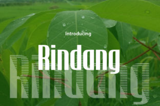 Finding a Fresh Display Font for a Branding Project