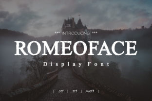 Romeoface: A Display Font for Crafting Standout Digital Brands